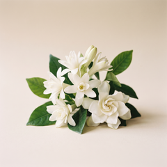 White flowers